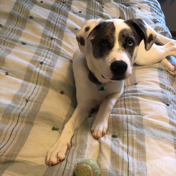 Meet your Posher, Crystal - Picture 1 of 1